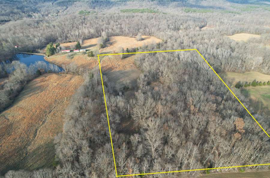 Tract 7 Lines aerial.jpg